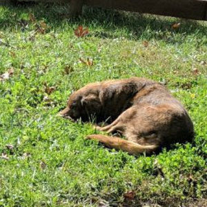 Meet your Posher, Kaitlyn